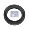 DT 2.53100 Seal Ring
